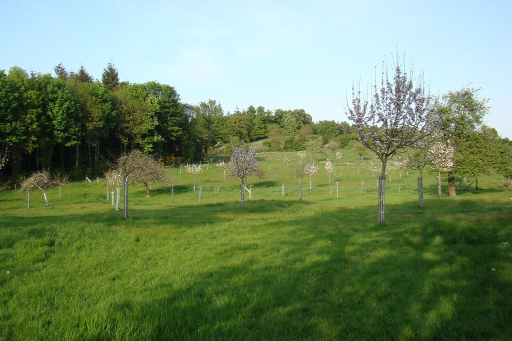 Gite De La Cour Campandré-Valcongrain Szoba fotó