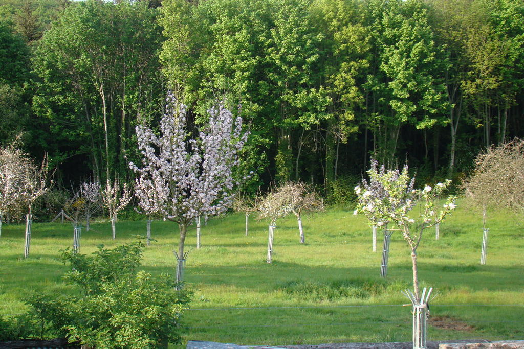 Gite De La Cour Campandré-Valcongrain Szoba fotó